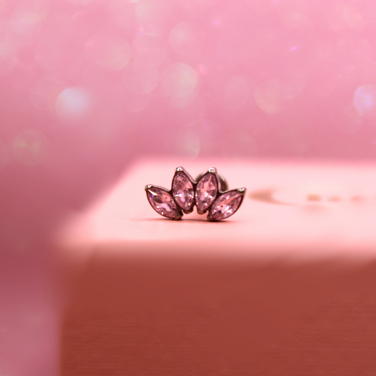 Labret Marquise 4 pétalos Rosas -Titanio