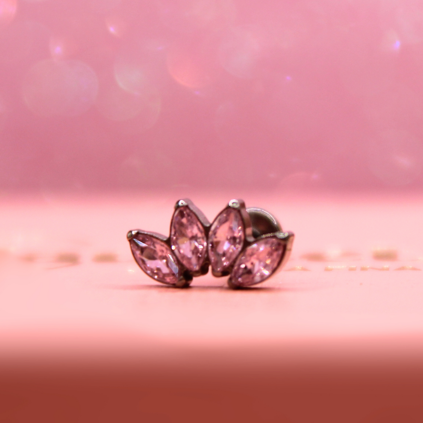 Labret Marquise 4 pétalos Rosas -Titanio