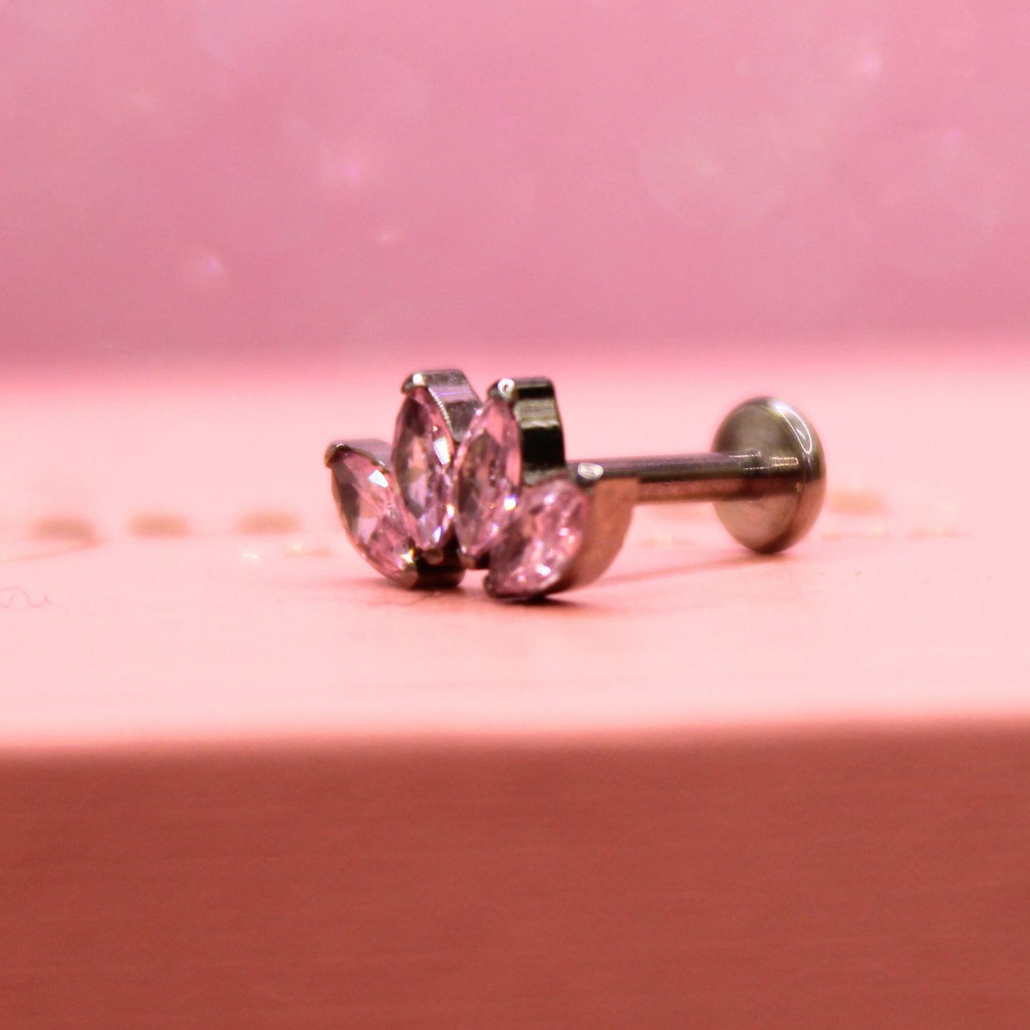 Labret Marquise 4 pétalos Rosas -Titanio