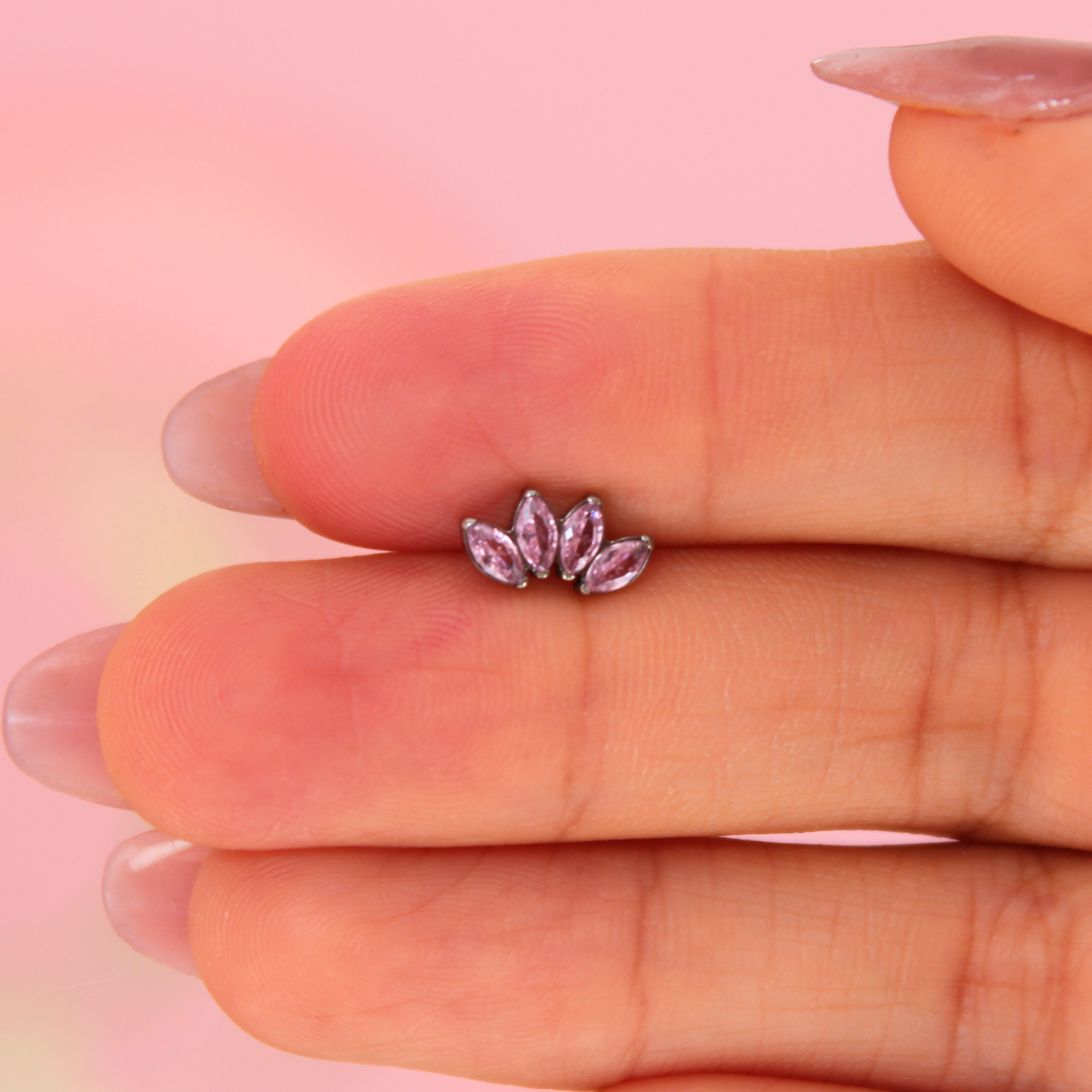 Labret Marquise 4 pétalos Rosas -Titanio