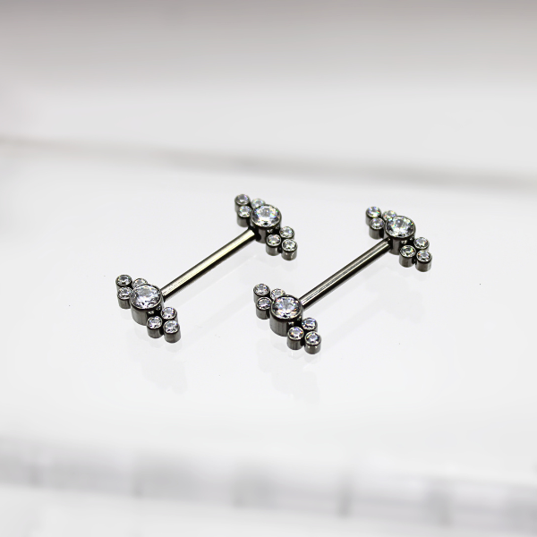 Barbell Titanio para Pezón diseño "12 micropastillas"- Zirconias blancas