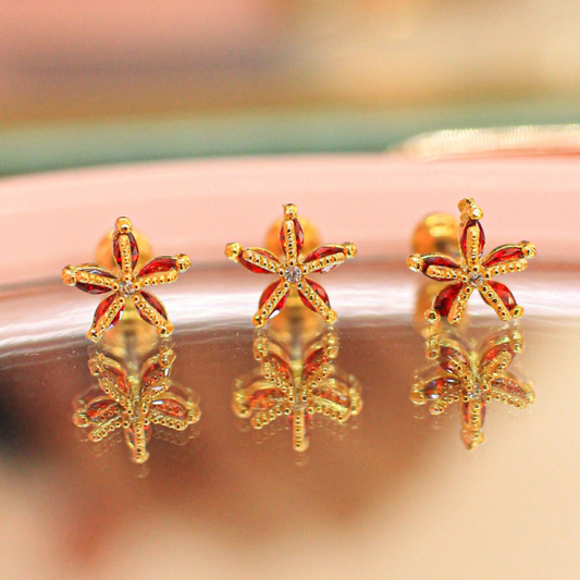 Broquel Estrella de Mar