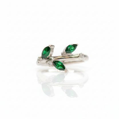 Aro Clicker Enredadera- Titaniio grado implante