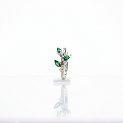 Aro Clicker Enredadera- Titaniio grado implante