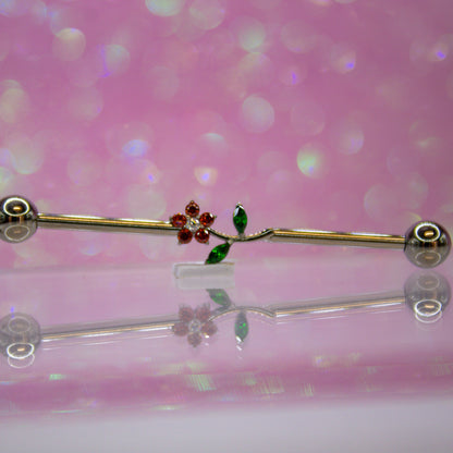 Barbell  Industrial Flor completa - Titanio