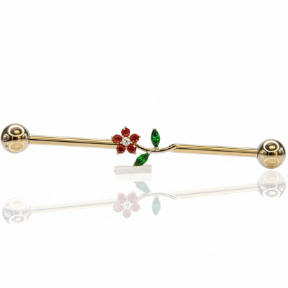 Barbell  Industrial Flor completa - Titanio