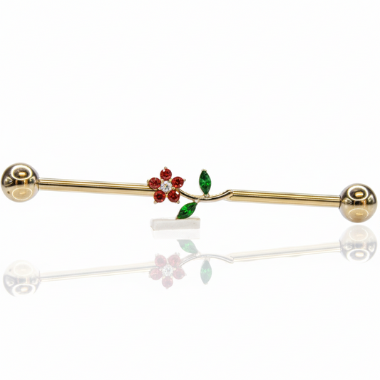 Barbell  Industrial Flor completa - Titanio