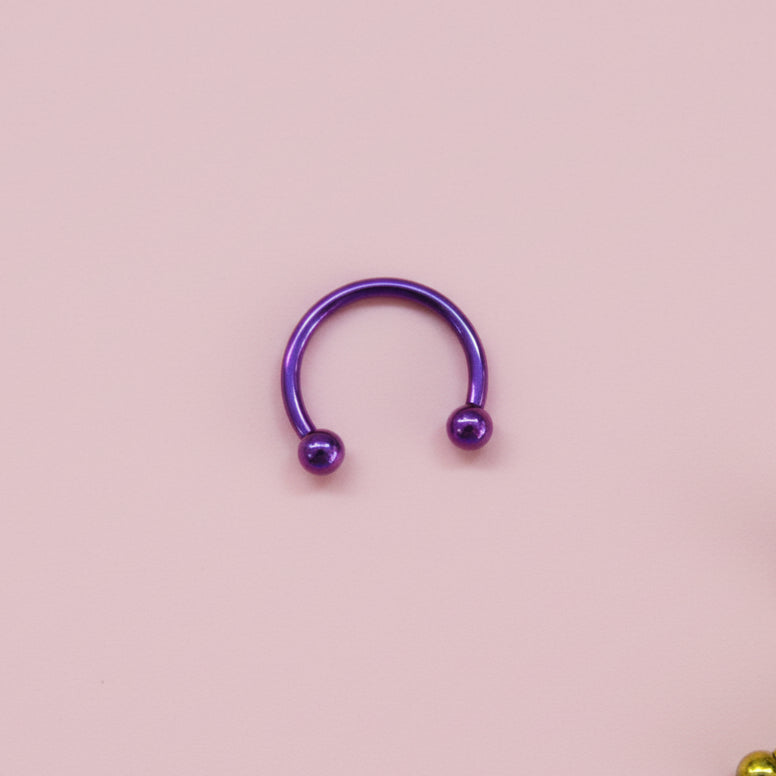 Piercing herradura purpura  - Titanio
