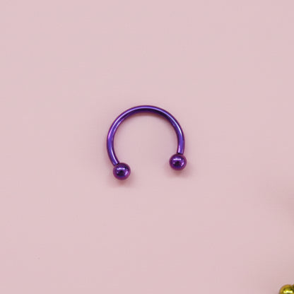 Piercing herradura purpura  - Titanio