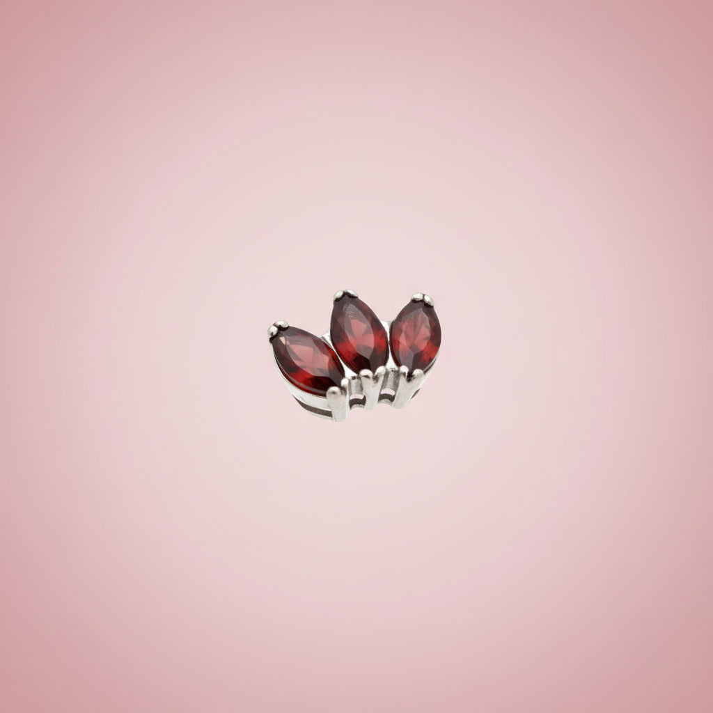 Piercing Garnet - Titanio