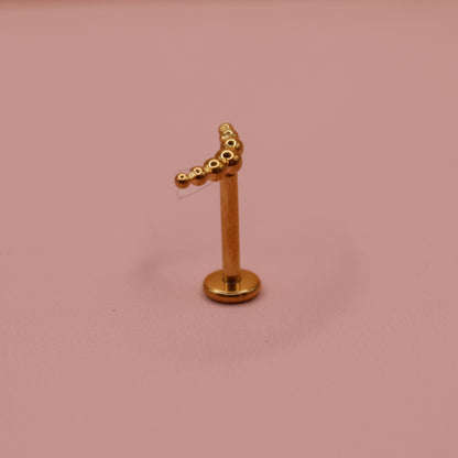 PRODUCTOS JUNIO