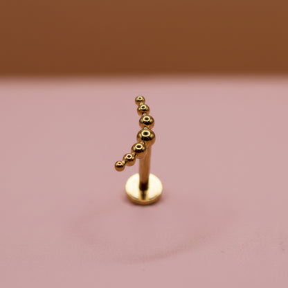 PRODUCTOS JUNIO