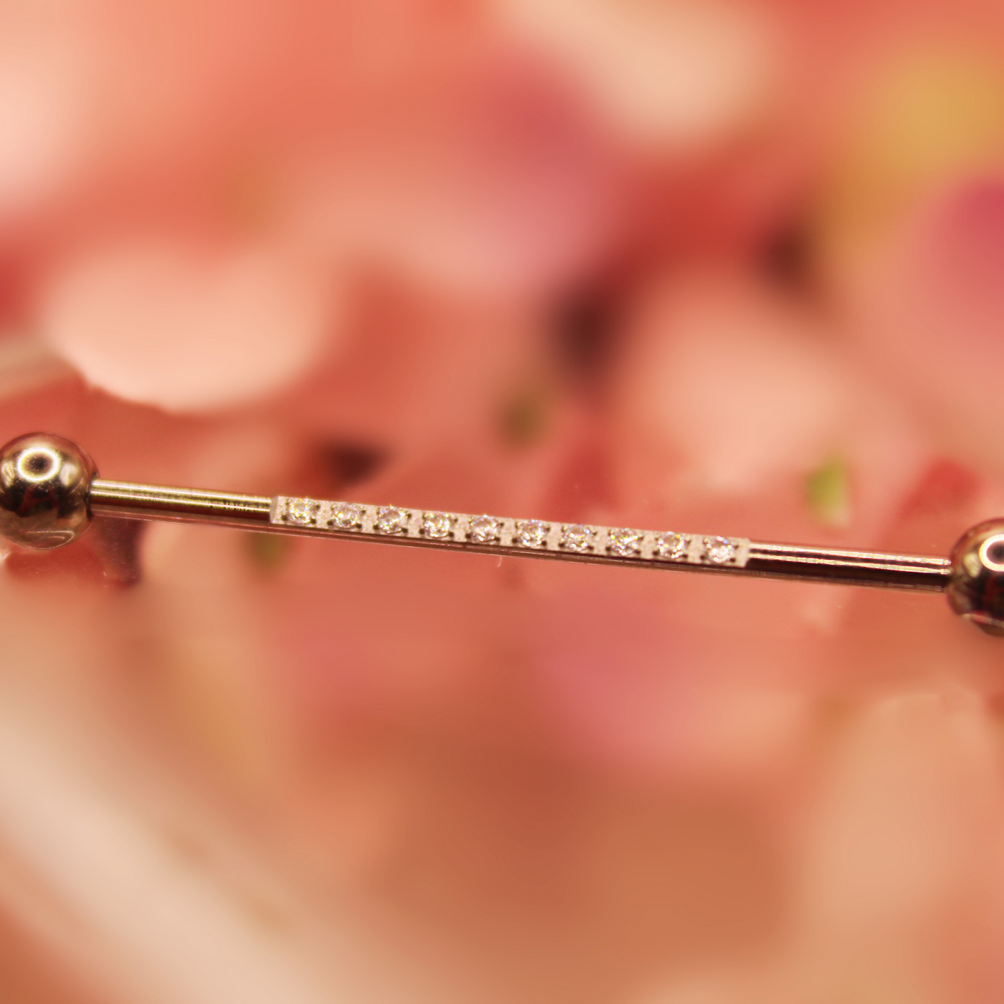 Barbell Industrial diseño zirconias-Titanio