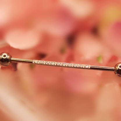 Barbell Industrial diseño zirconias-Titanio