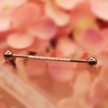 Barbell Industrial diseño zirconias-Titanio