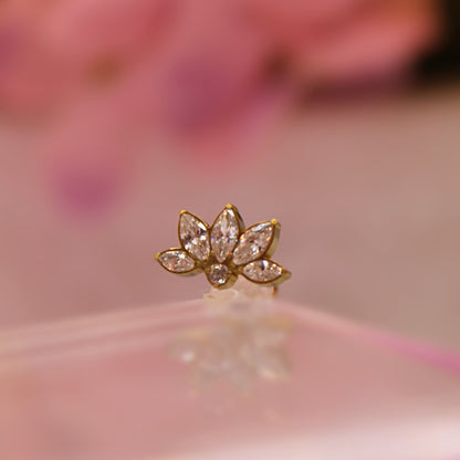 Labret Titanio Lili