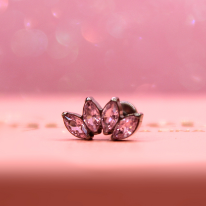 Labret Marquise 4 pétalos Rosas -Titanio