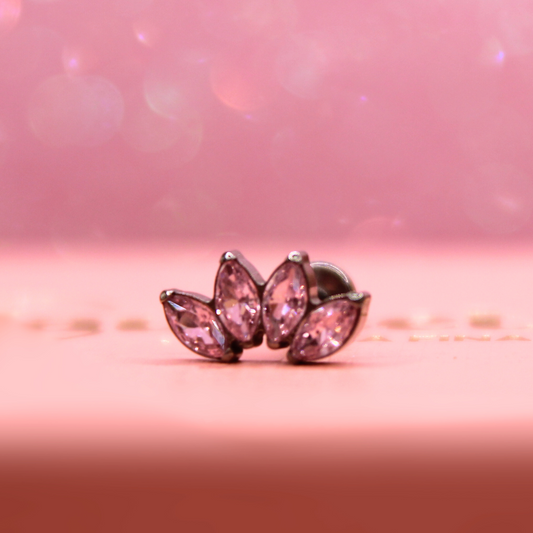 Labret Marquise 4 pétalos Rosas -Titanio